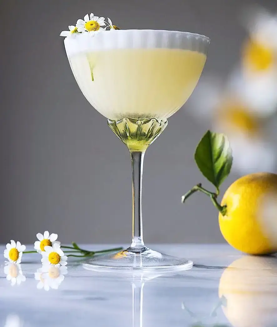 Inspired Choice Botanic & Cocktail Bar