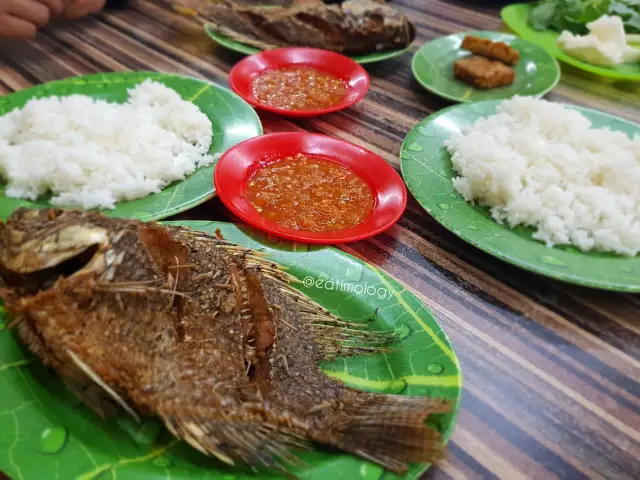 Gambar Makanan Ikan Nila Pak Ugi 2