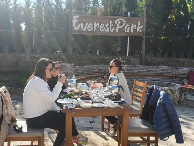 Everest Park Restaurant'nin yemek ve ambiyans fotoğrafları 9
