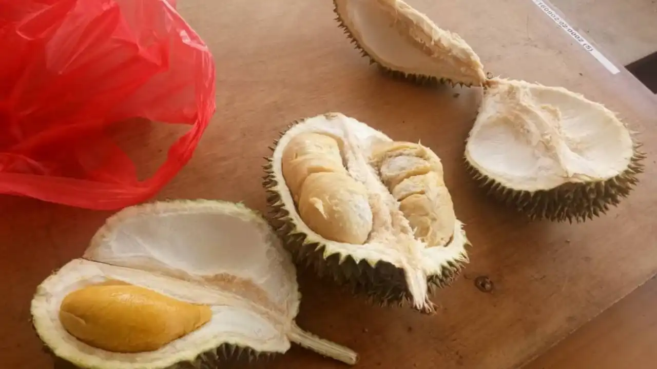 Durian Buffet @ Bukit Tinggi Klang