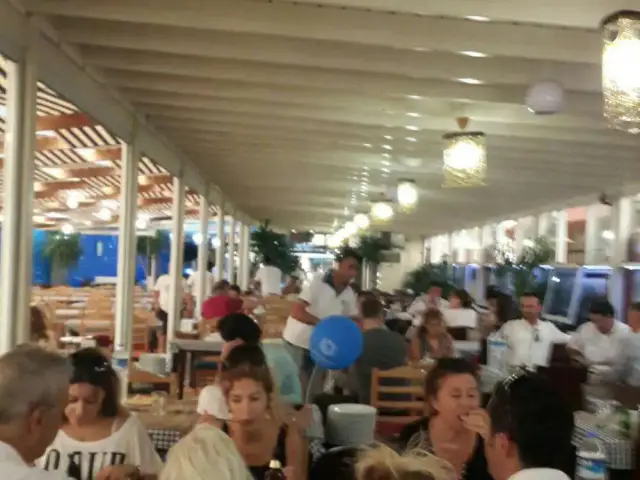 Gemi Restaurant'nin yemek ve ambiyans fotoğrafları 56