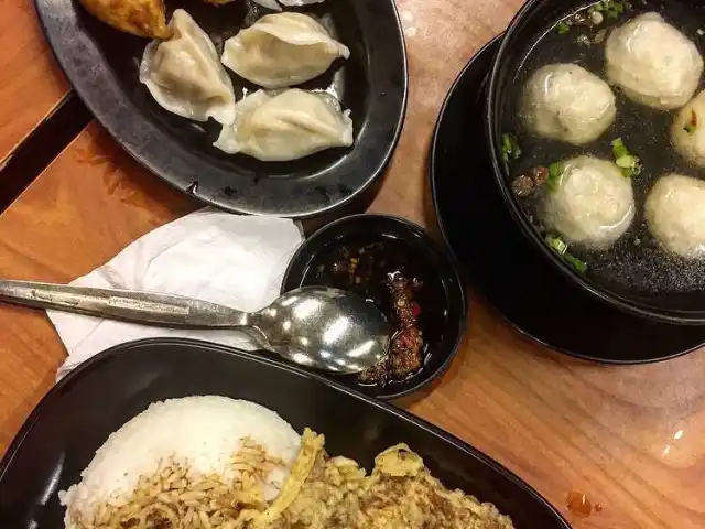 Tasty Dumplings Food Photo 8