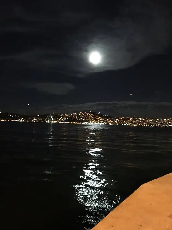 Kaşıbeyaz Bosphorus'nin yemek ve ambiyans fotoğrafları 21