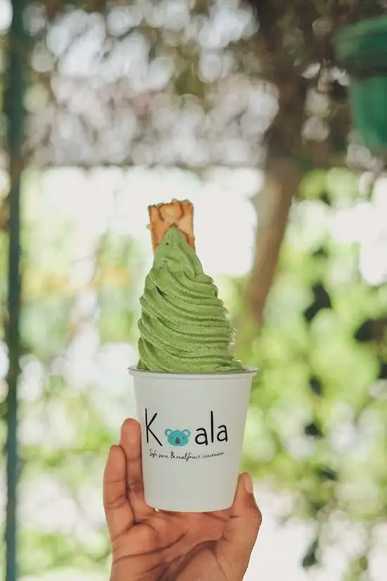 Gambar Makanan Koala Softserve Ice Cream 8