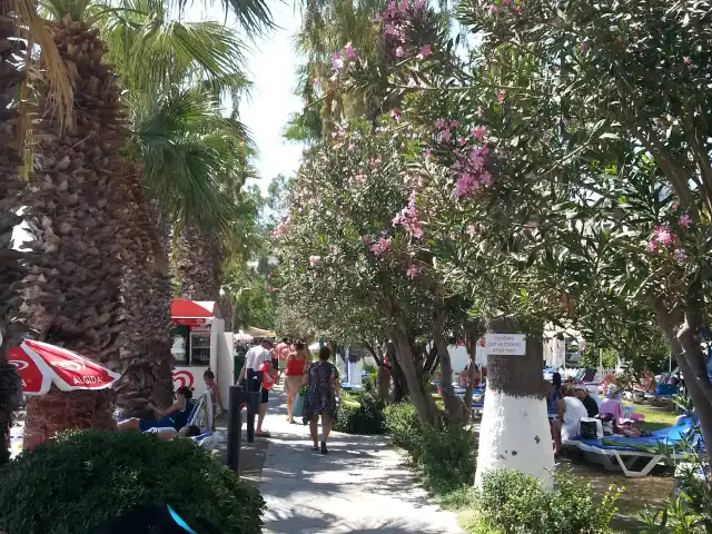 Meteor Restaurant'nin yemek ve ambiyans fotoğrafları 17