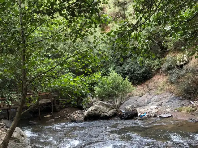 Saklı Cennet'nin yemek ve ambiyans fotoğrafları 3