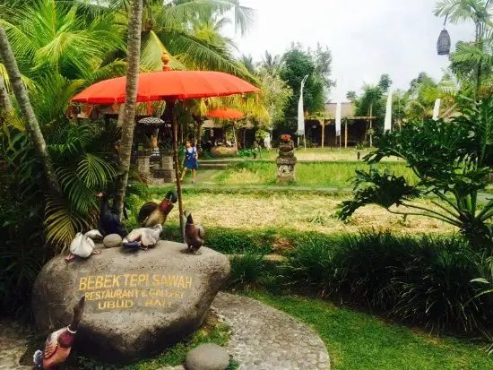 Gambar Makanan Bebek Tepi Sawah 10