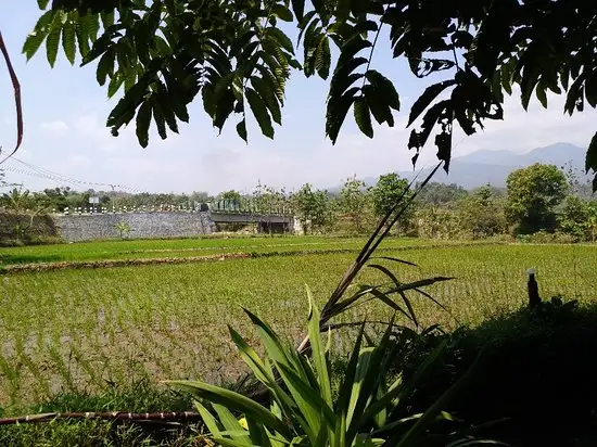 Gambar Makanan Warung Syam Caping Gunung 8