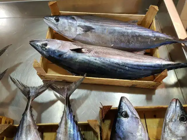 Yeşilköy Yalıer 2 Balık Lokantası'nin yemek ve ambiyans fotoğrafları 18