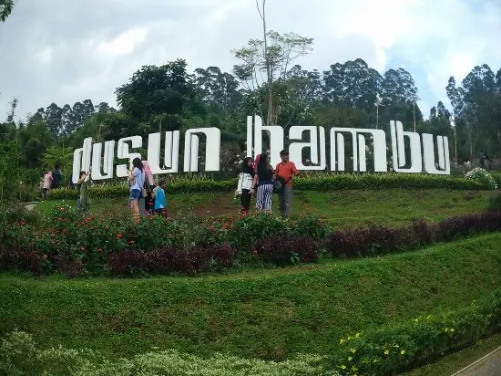 Gambar Makanan Dusun Bambu 19