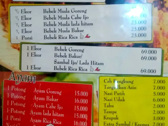 Gambar Makanan Bebek Salero 6