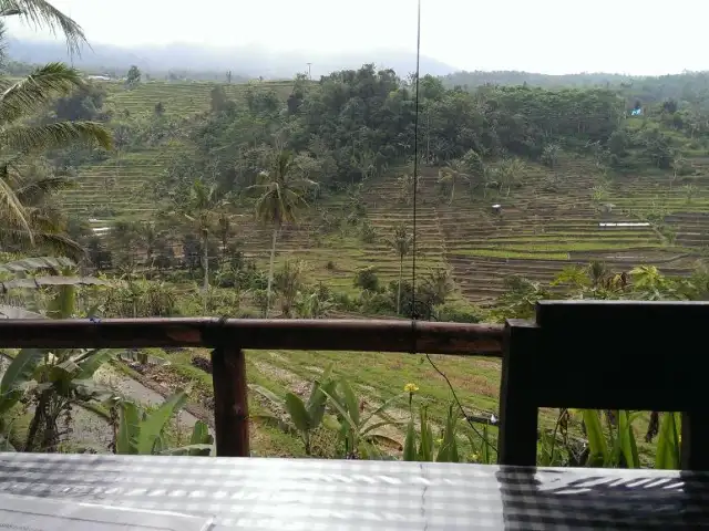 Padi Bali