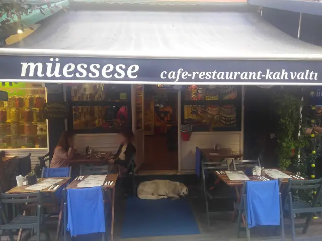Müessese Ortaköy Cafe-Restaurant-Kahvaltı'nin yemek ve ambiyans fotoğrafları 3