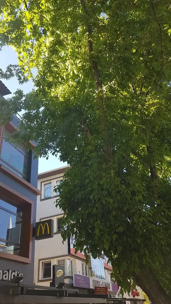 McDonald's'nin yemek ve ambiyans fotoğrafları 55