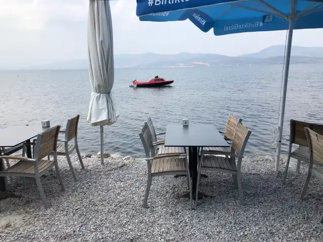 Ayaz Cafe & Restaurant'nin yemek ve ambiyans fotoğrafları 12