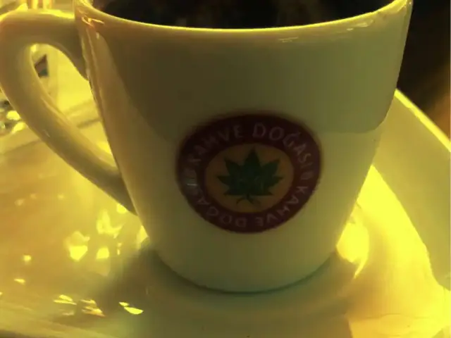 Kahve Dogasi