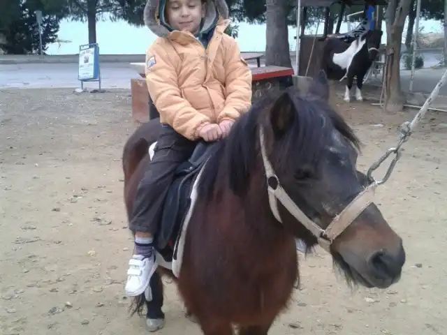 Saklıbahce Adana Pony club'nin yemek ve ambiyans fotoğrafları 6