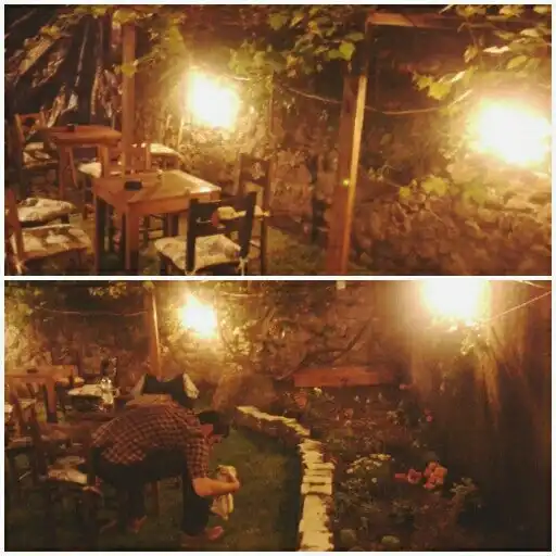 Cafe Beyrut'nin yemek ve ambiyans fotoğrafları 4