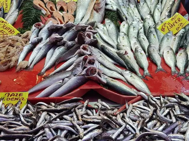 Coşkun Balık'nin yemek ve ambiyans fotoğrafları 61
