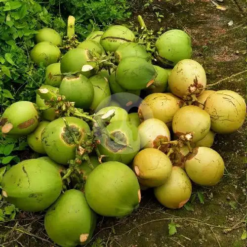 Gambar Makanan Es Kelapa Karya Mandiri, Karet Pedurenan 16