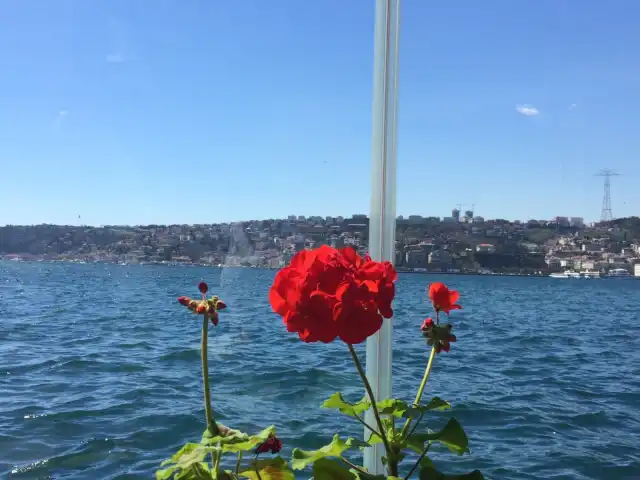 Alperenler Çay Evi'nin yemek ve ambiyans fotoğrafları 2