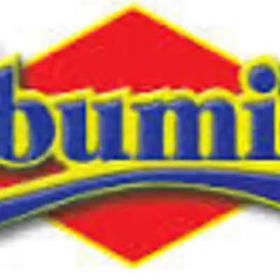 Ibumie