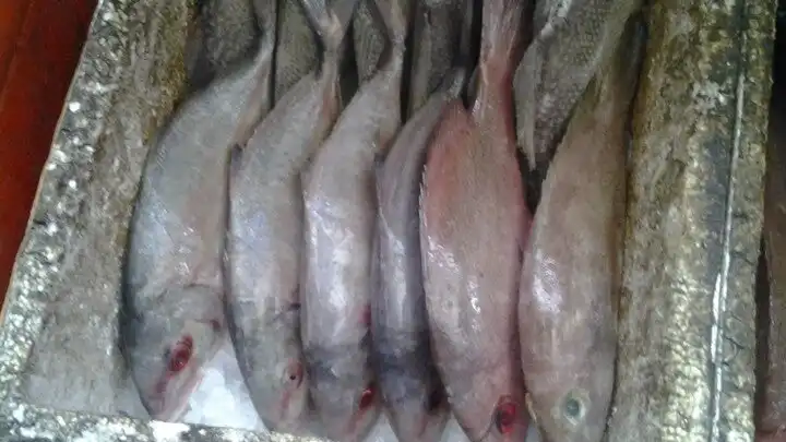 Gambar Makanan Ikan Laut Bakar Pantura 9