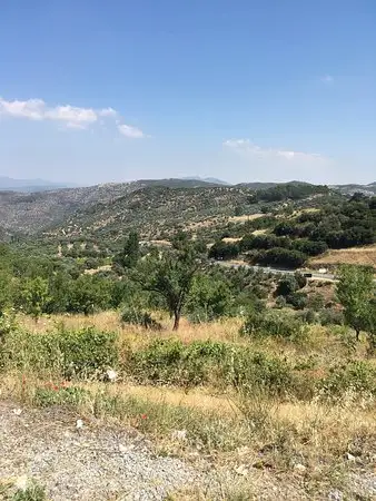 İkiz Çeşme Aile Restoranı