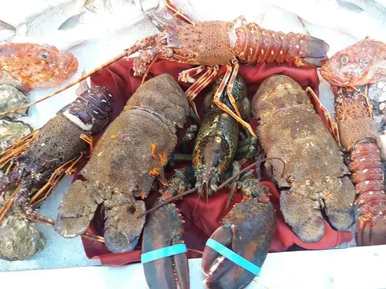 Sultan Bahçe Restaurant'nin yemek ve ambiyans fotoğrafları 20