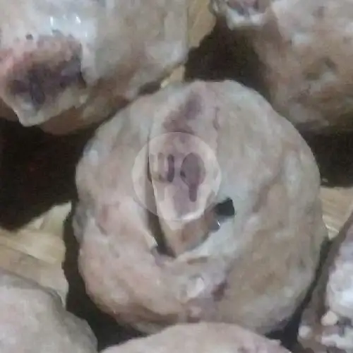 Gambar Makanan Bakso Joz Gandhos Asli Wonogiri, Kebon Jeruk 11