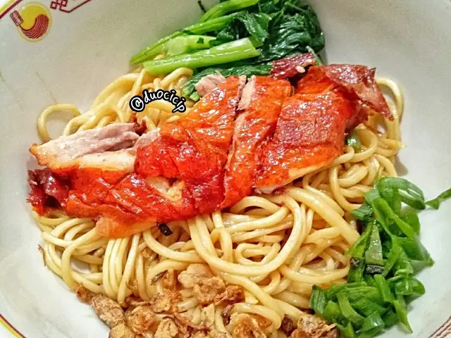 Golden Lamian