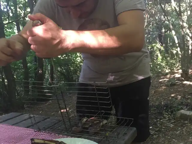 Boğazköy Mesire Alanı'nin yemek ve ambiyans fotoğrafları 2