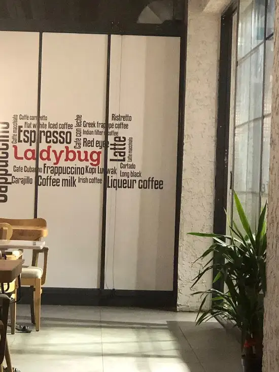 Ladybug Cafe'nin yemek ve ambiyans fotoğrafları 33