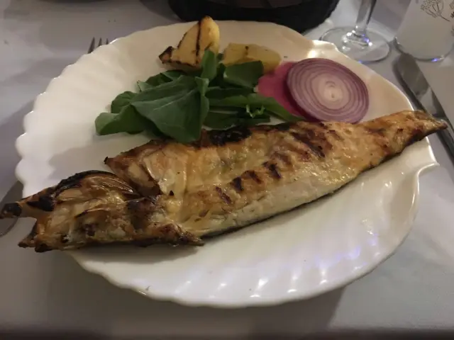 Yakamoz Diplomat Balık Lokantası'nin yemek ve ambiyans fotoğrafları 12