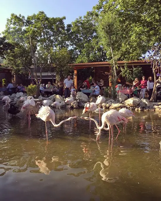 FlamingoKöy Kahvaltı Barbekü'nin yemek ve ambiyans fotoğrafları 4