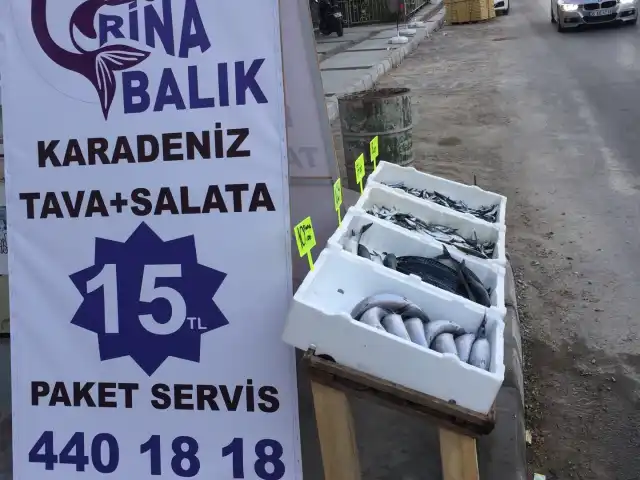 Rina Balık Pişiricisi'nin yemek ve ambiyans fotoğrafları 5