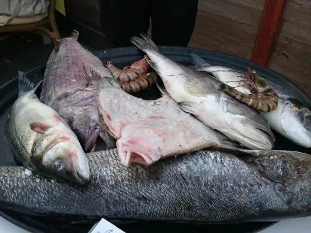 Mostra Balık'nin yemek ve ambiyans fotoğrafları 47