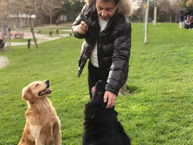 The İstanbul PaşaFırını'nin yemek ve ambiyans fotoğrafları 14