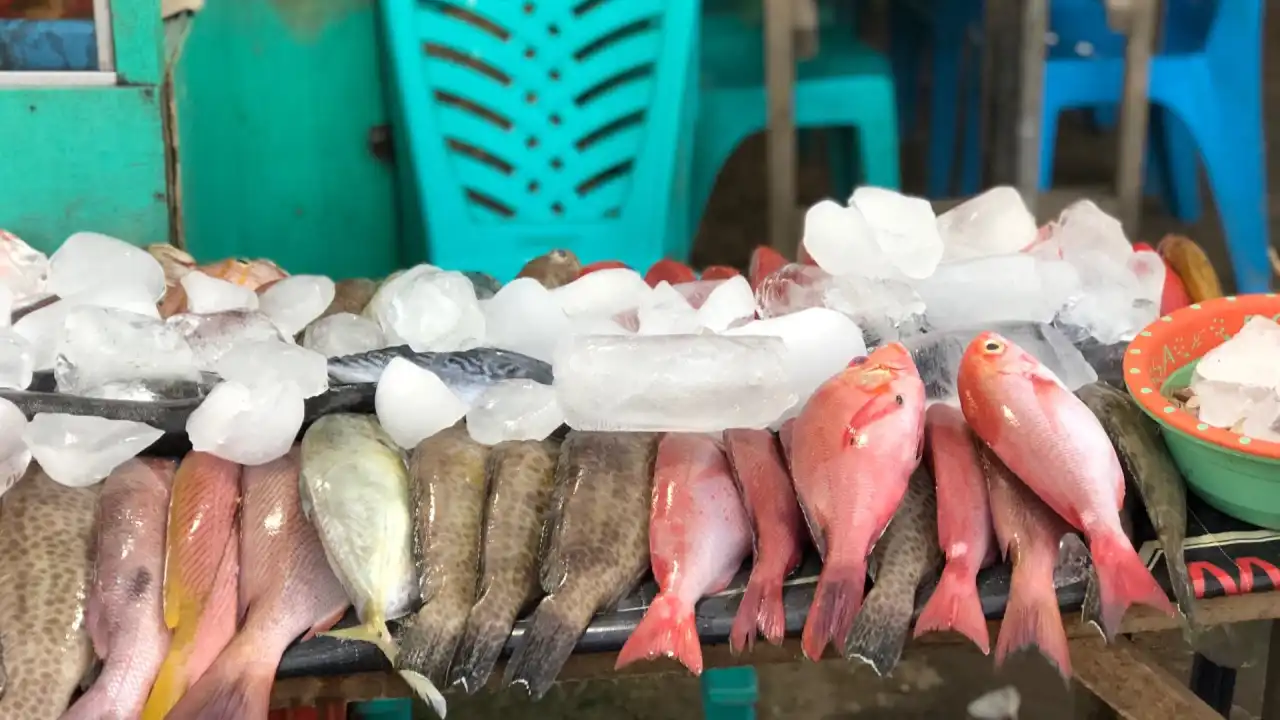 Sentra Kuliner Malam Labuan Bajo