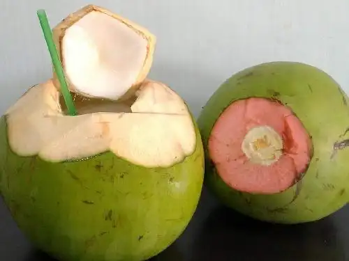 Kelapa Muda 99, Pogung Lor