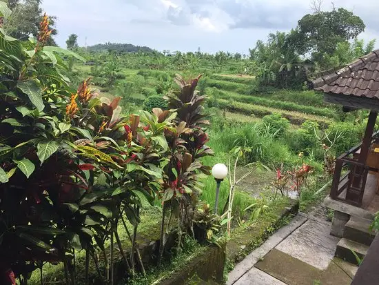 Gambar Makanan Dewata Agung Restaurant 11