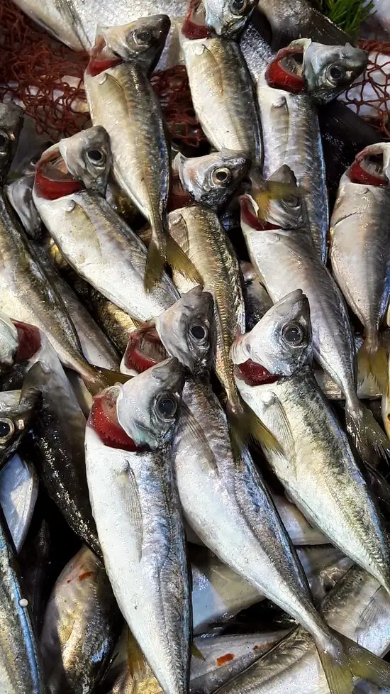 Başoğlu balık'nin yemek ve ambiyans fotoğrafları 14