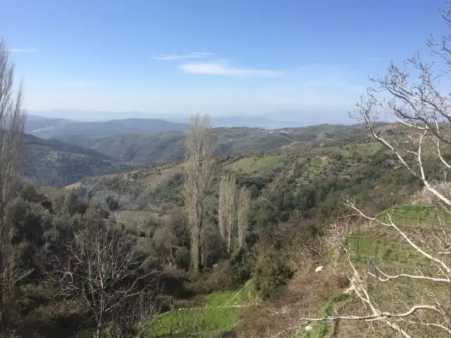 Tekin Aile Cay Bahcesi'nin yemek ve ambiyans fotoğrafları 3