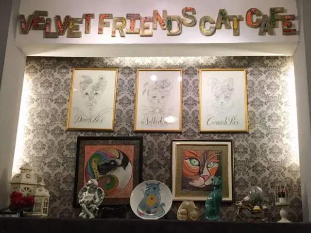Velvet Friends Cat Cafe Company Food Photo 18