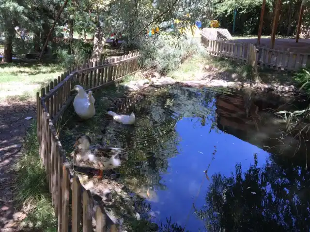 Çıtır Simit'nin yemek ve ambiyans fotoğrafları 4