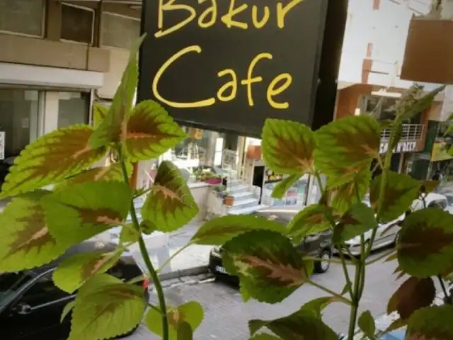 Bakur Cafe'nin yemek ve ambiyans fotoğrafları 20
