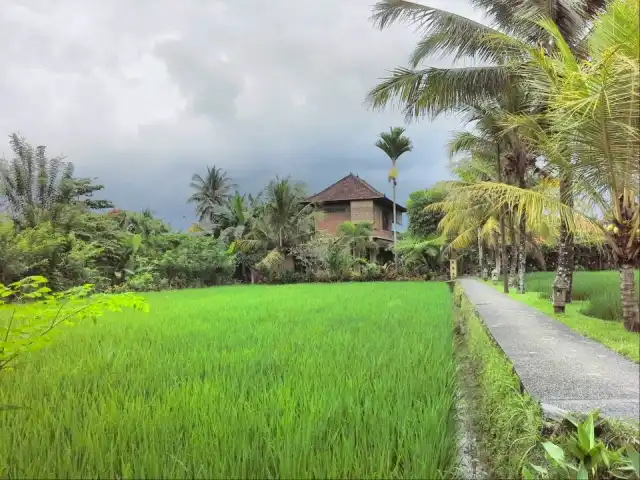 Gambar Makanan Adi asri restaurant ubud 8