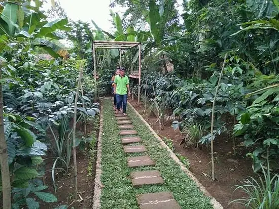 Gambar Makanan Jati Harum Bali 14