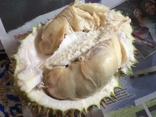 Bentong Durian Stall Food Photo 5