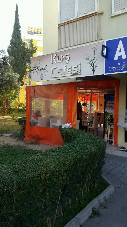 KUŞ  CAFESİ'nin yemek ve ambiyans fotoğrafları 5